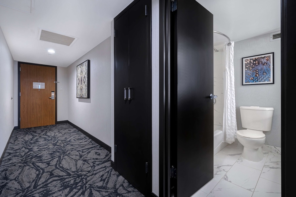 Standard Studio, 2 Double Beds - Photo 6