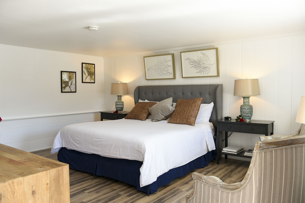 Room, 1 King Bed photo 3