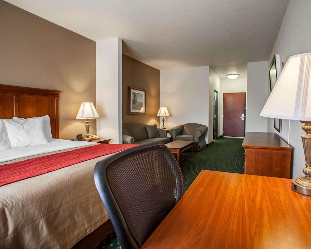 Suite, 1 King Bed with Sofa bed, Non Smoking - Photo 8