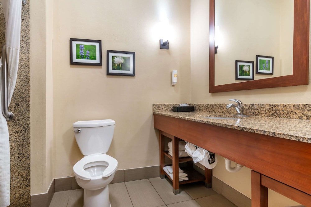 Comfort Suites Manhattan, Billede 3