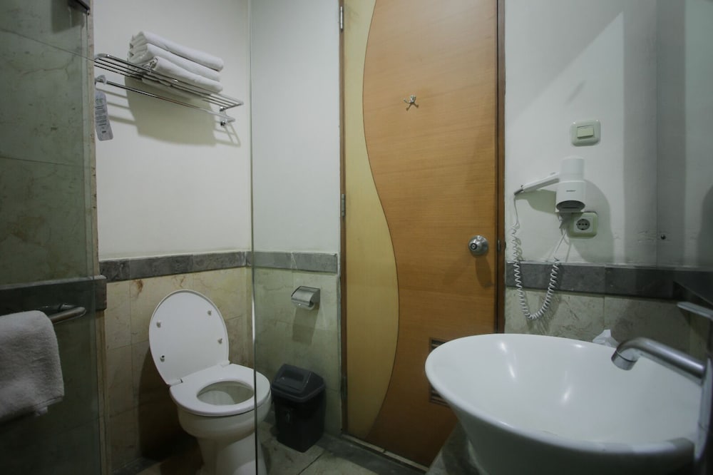 Deluxe Room - Photo 8