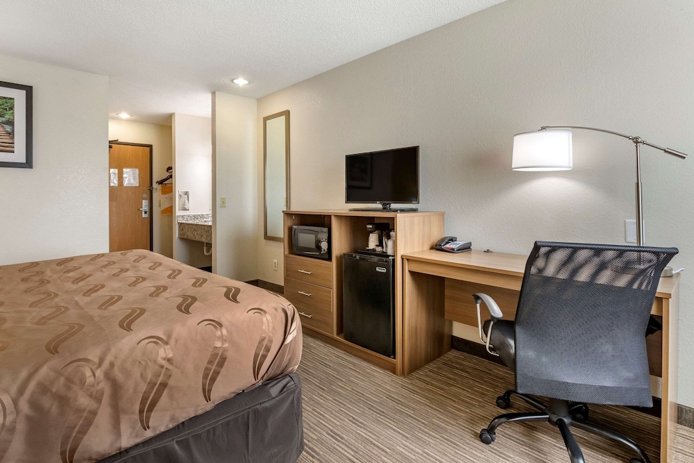 Suite, 1 King Bed, Non Smoking (Efficiency) - Photo 3