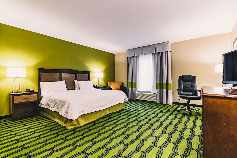 Room, 1 King Bed, Accessible, Non Smoking (Roll In Shower) photo 3