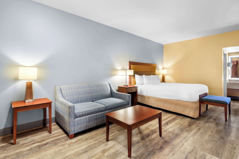 Executive Room, 1 King Bed, Non Smoking, Microwave photo 1