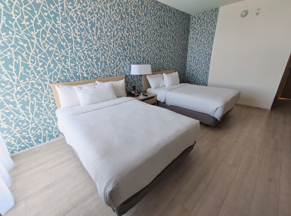 Room, 2 Double Beds photo 2