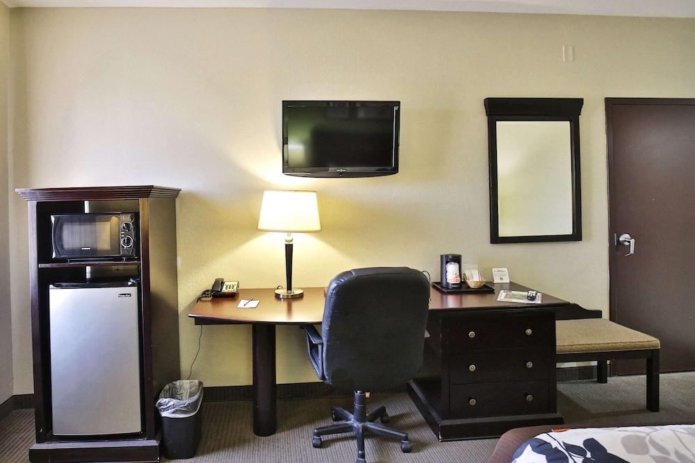 Room, 1 King Bed, Accessible, Non Smoking photo 3