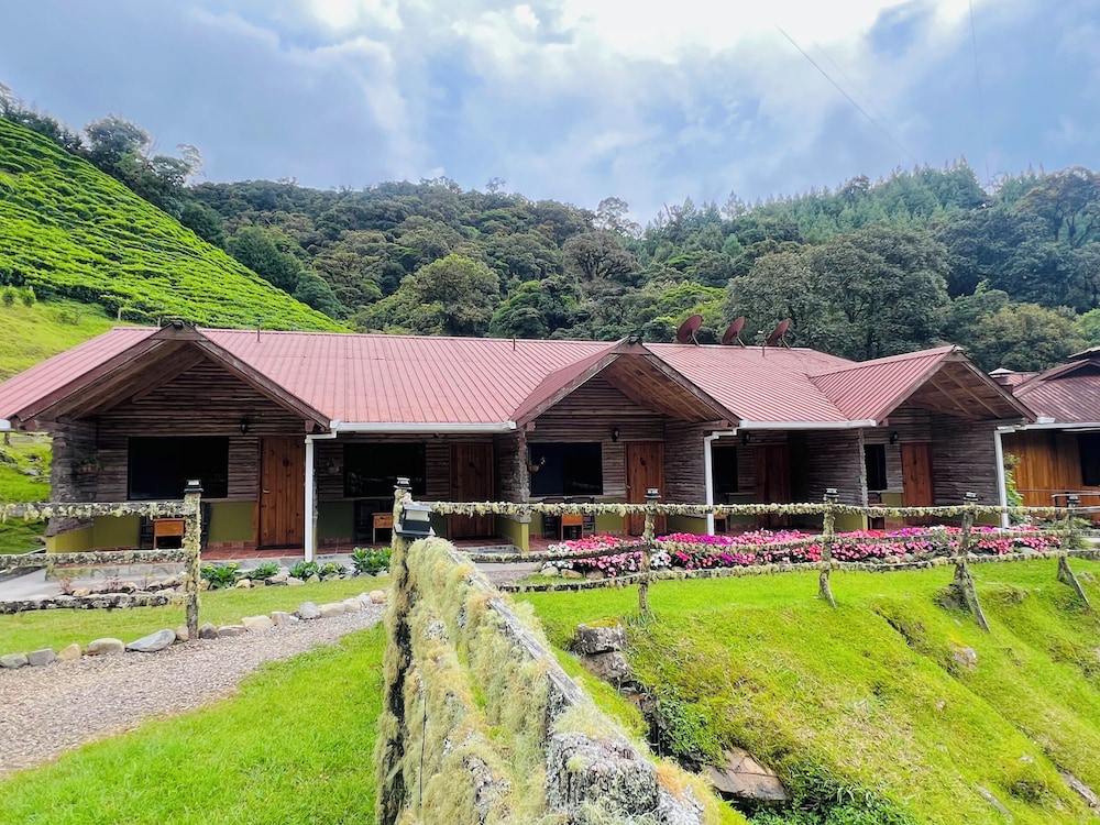 Family Double Room, 2 Double Beds, Mountain View, photo 6
