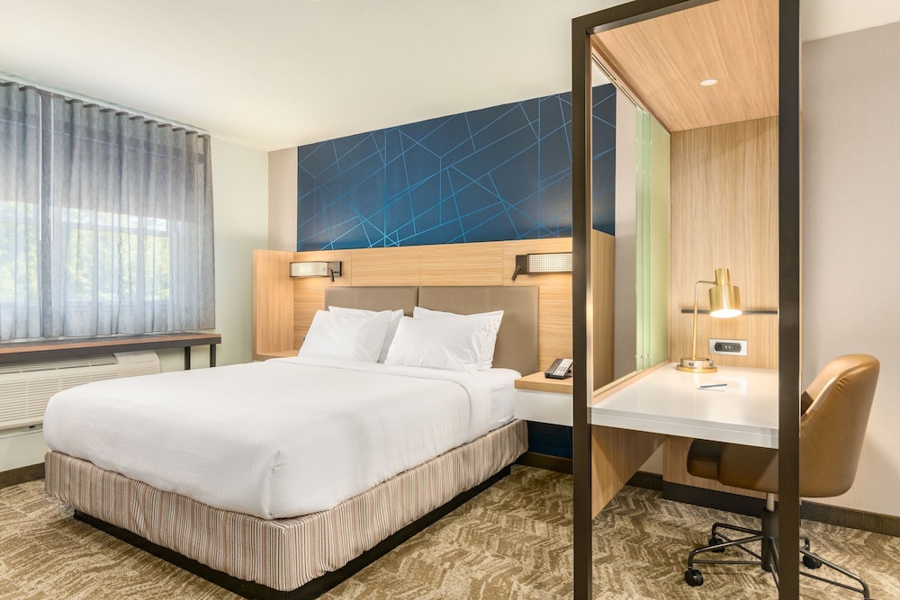 Executive Suite, 1 King Bed - Photo 1