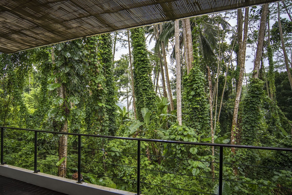The Nature Suite - Photo 18