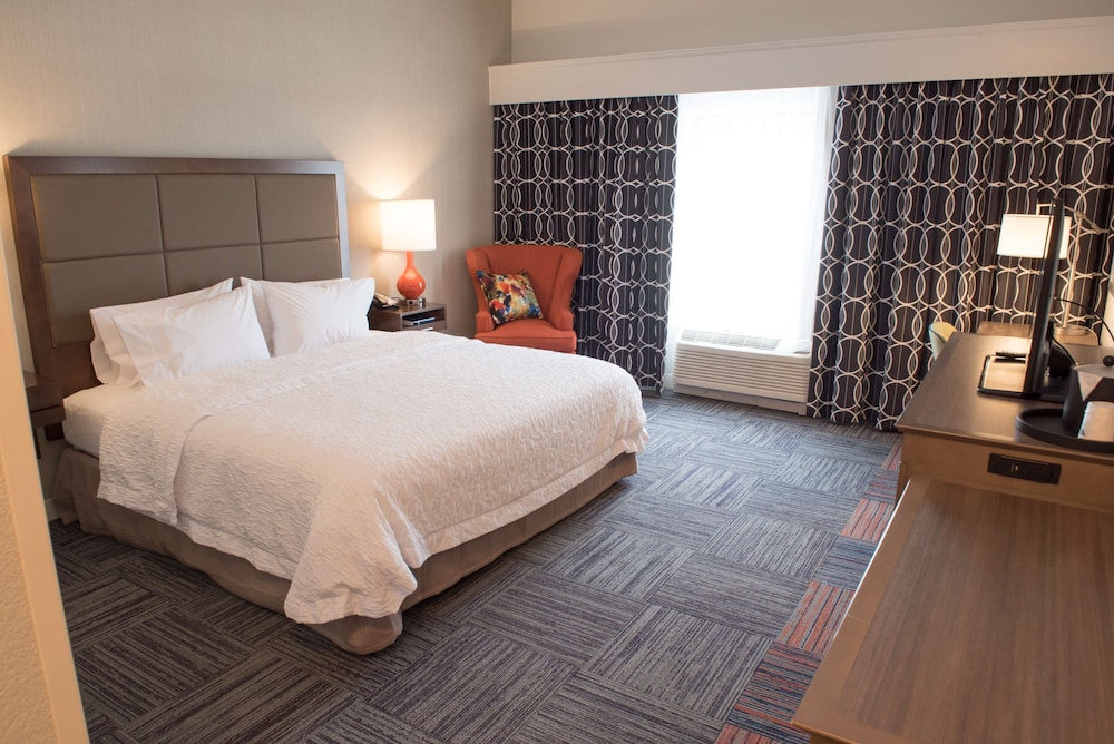 Room, 1 King Bed, Accessible, Non Smoking (mob/hearing acc w/ bathtub) photo 1