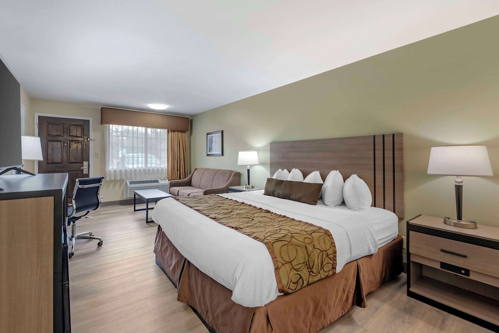 Standard Room, 1 King Bed, Non Smoking, Refrigerator & Microwave (with Sofabed) - Photo 1