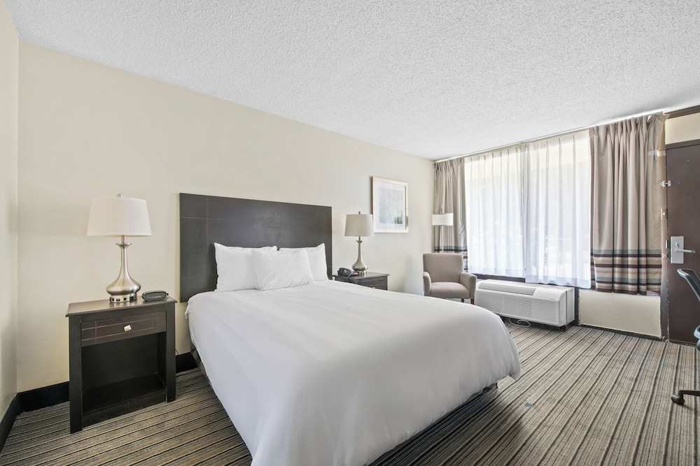 Room, 1 Queen Bed, Roll-in Shower photo 2