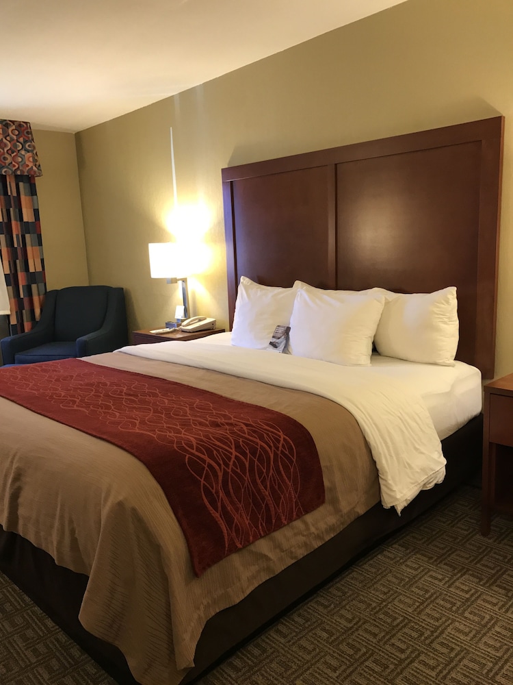 Standard Room, 1 King Bed, Non Smoking - Photo 3