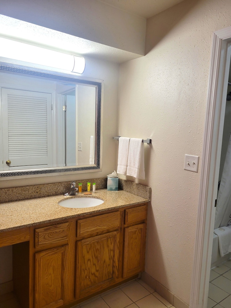 Studio Suite, 1 King Bed - Photo 2
