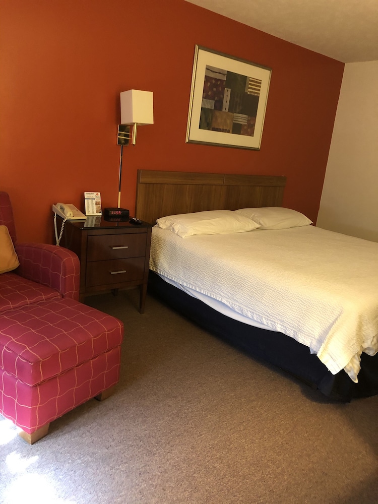Deluxe Single Room, 1 King Bed photo 3