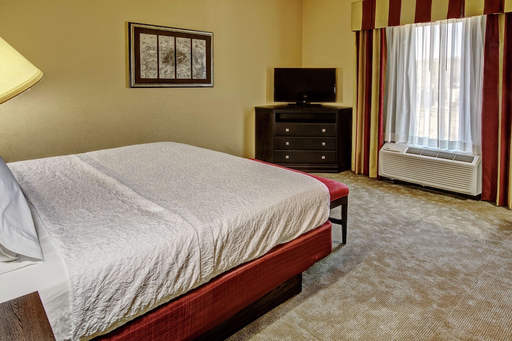 Room, 1 King Bed, Non Smoking photo 2