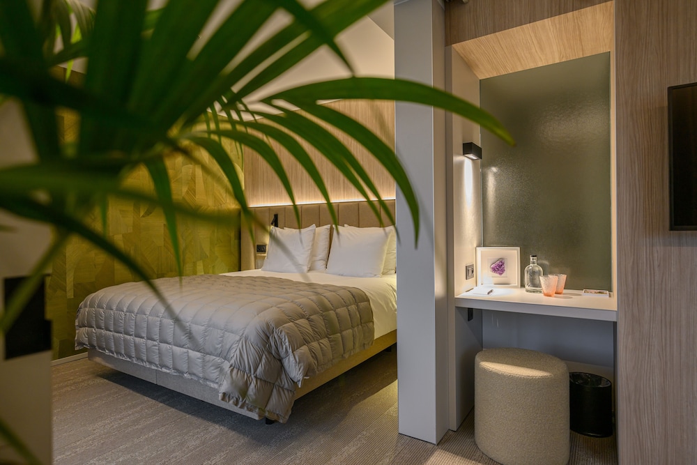 Junior Studio Suite photo 1