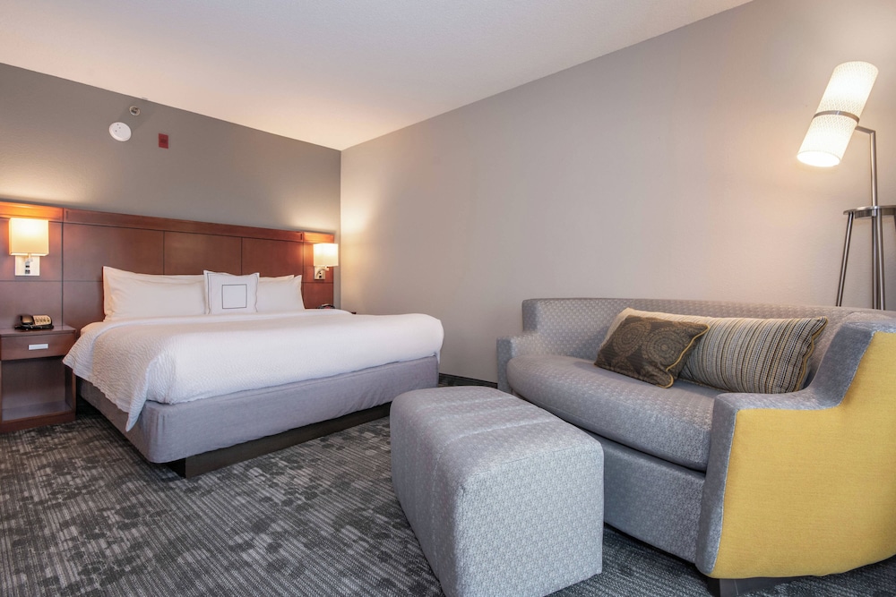 Room, 1 King Bed With Sofa Bed (Mobility/Hearing Access, Roll-In Shwr) - Photo 2