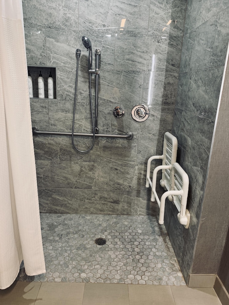 Studio Suite, 1 King Bed with Sofa bed (Mobility/Hearing Access, Roll-In Shwr)