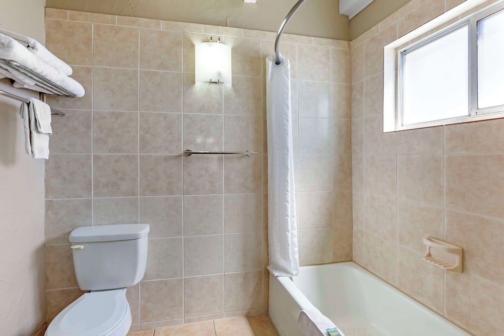 Standard Room, 1 King Bed, Non Smoking, Refrigerator & Microwave (Pet Friendly) photo 2