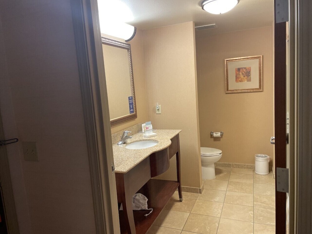 Room, 1 King Bed, Accessible - Photo 7