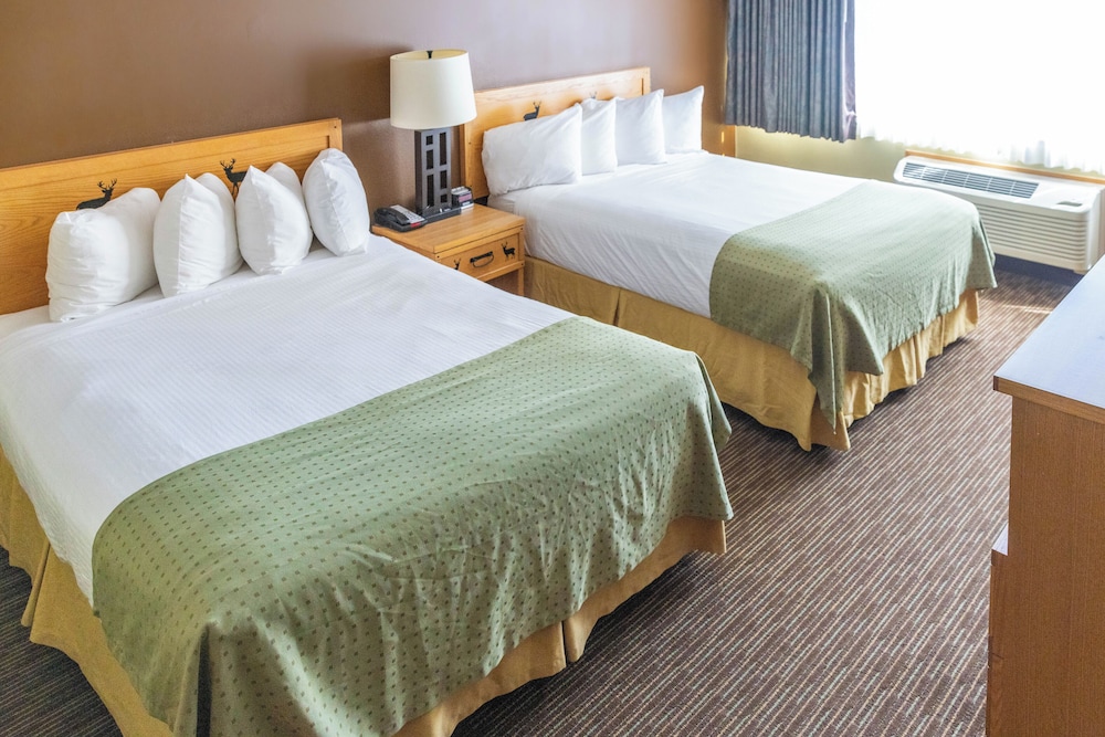 Signature Double Room, 2 Queen Beds photo 1