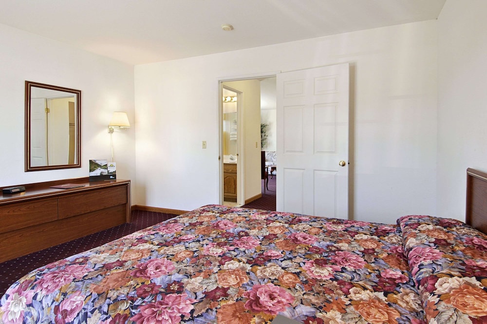 Suite, 1 King Bed, Non Smoking (Efficiency) - Photo 4