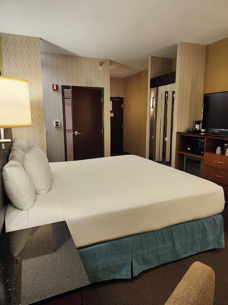 Deluxe Room, 1 King Bed, Mobility Accessible, Non Smoking (Hearing, Roll-in Shower) - Photo 7