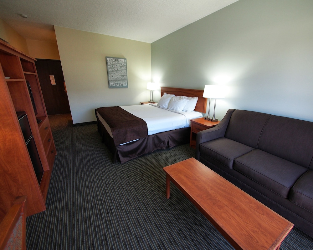 Room, 1 King Bed with Sofa bed photo 3
