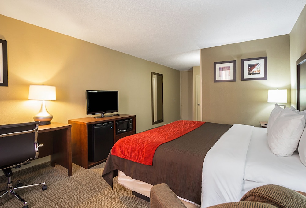 Suite, 1 King Bed with Sofa bed, Non Smoking (1 Person Sofa Bed) photo 3