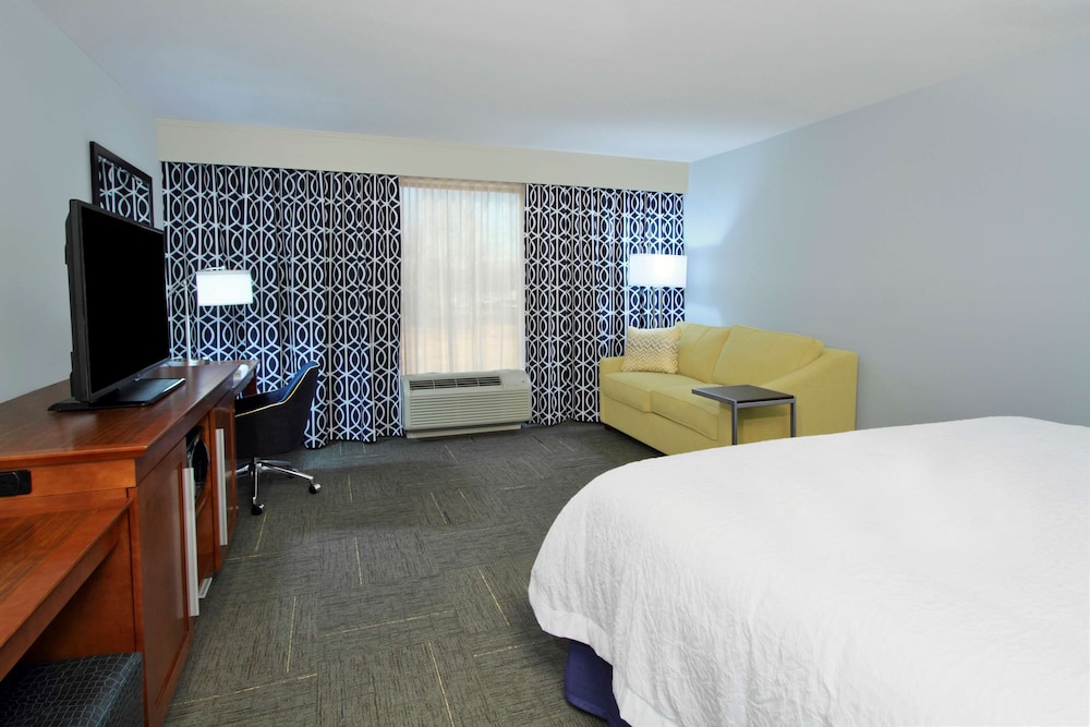 Room, 1 King Bed, Non Smoking, Refrigerator & Microwave photo 1
