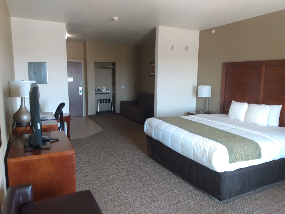 Suite, 1 King Bed, Accessible, Non Smoking photo 1