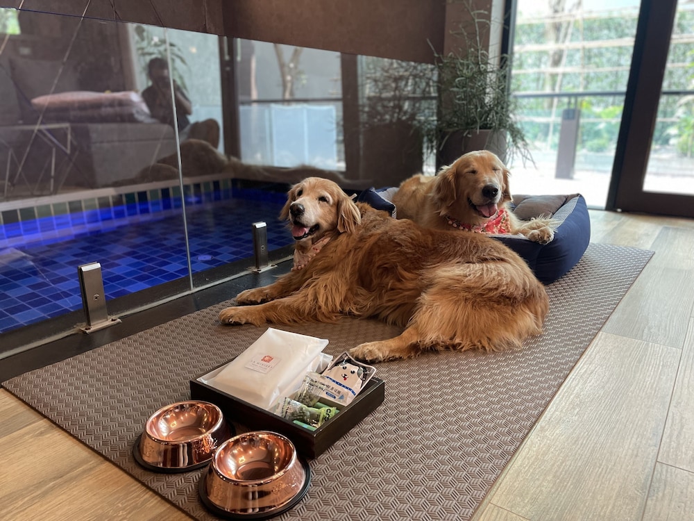 Pet-Friendly Pool Villa Family - Photo 13