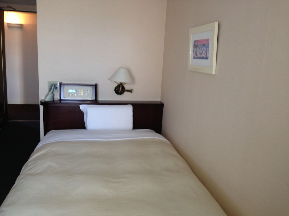 Deluxe Single Room, Non Smoking photo 1