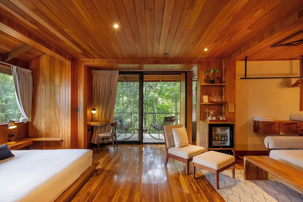 Cloud Forest Studio photo 3