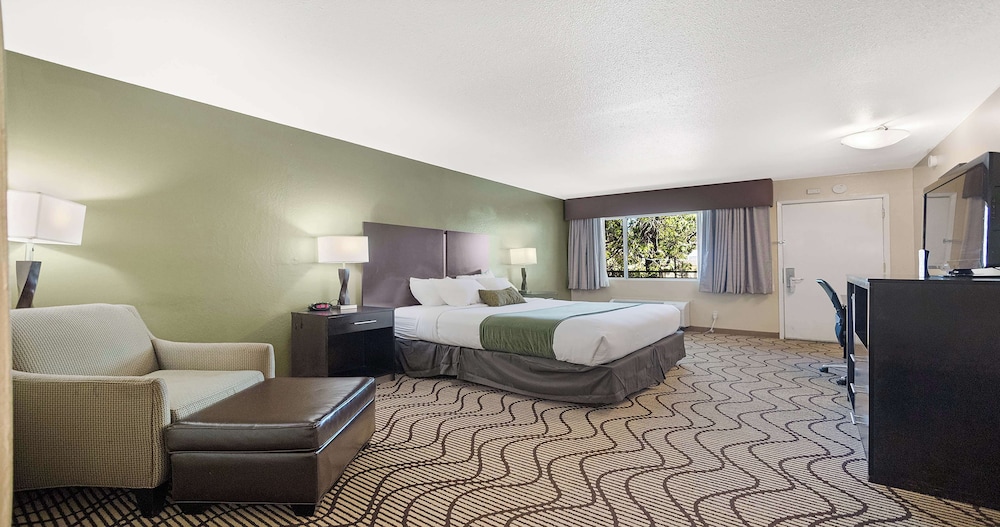 Deluxe Room, 1 Queen Bed, Non Smoking, Refrigerator & Microwave - Photo 7