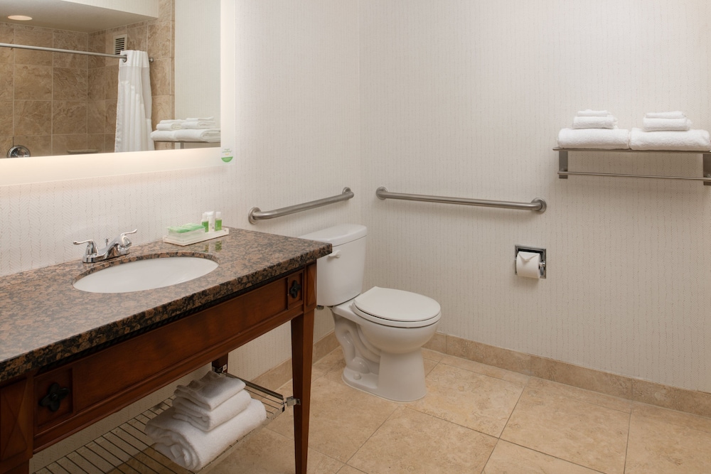 Standard Room, 1 King Bed, Roll-in Shower (Mobility Accessible)