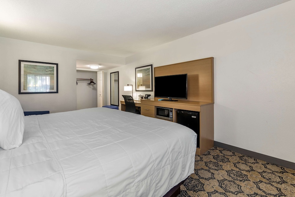 Standard Room, 1 King Bed, Non Smoking, Refrigerator & Microwave photo 3