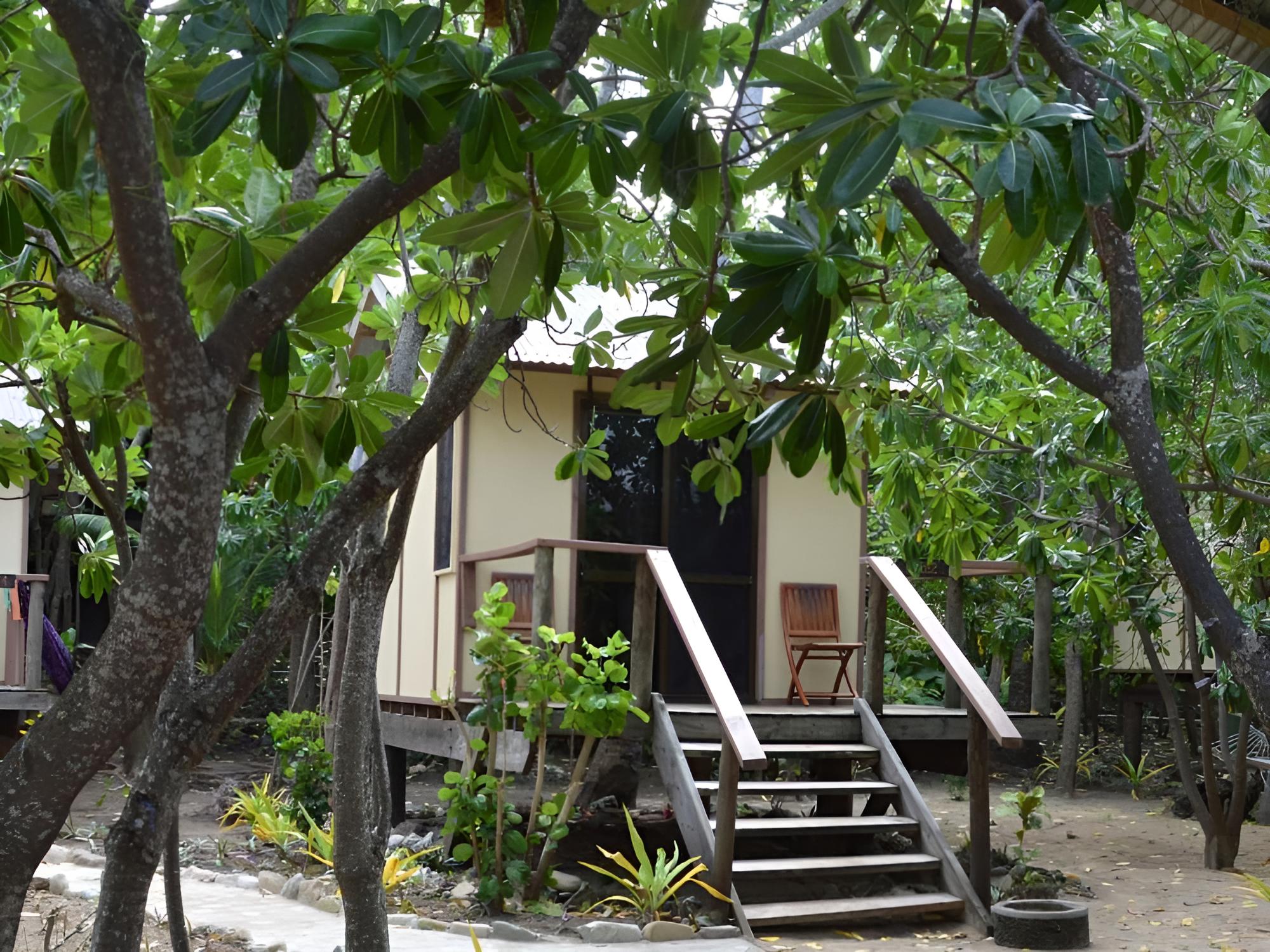 Basic Tree House - Photo 4