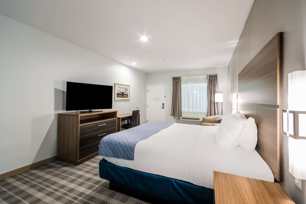 Deluxe Room, 1 King Bed, Non Smoking photo 2