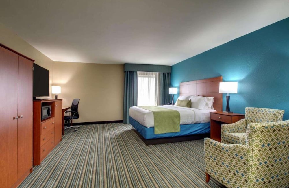 Standard Room, 1 King Bed, Non Smoking, Refrigerator & Microwave - Photo 4