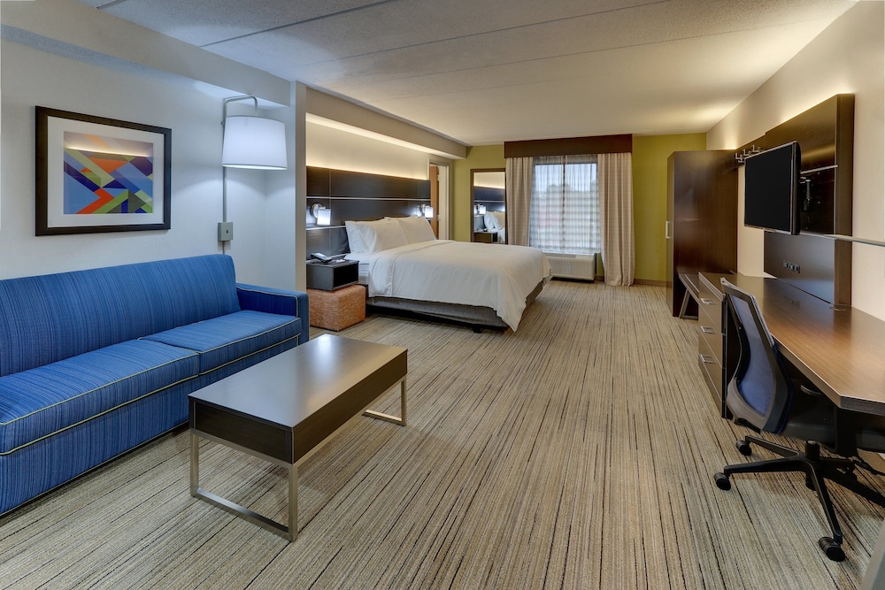 Suite, 1 King Bed - Photo 1