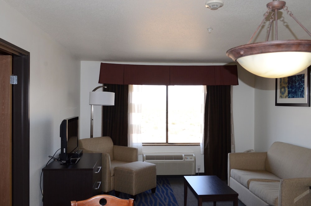 Suite, 1 Bedroom - Photo 1