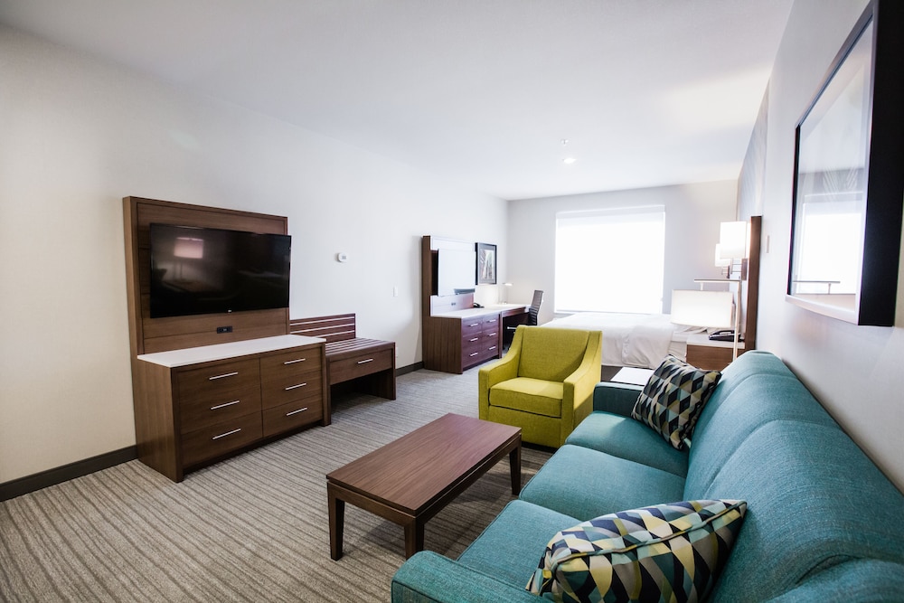 Suite, 1 King Bed (Walk-In Shower)
