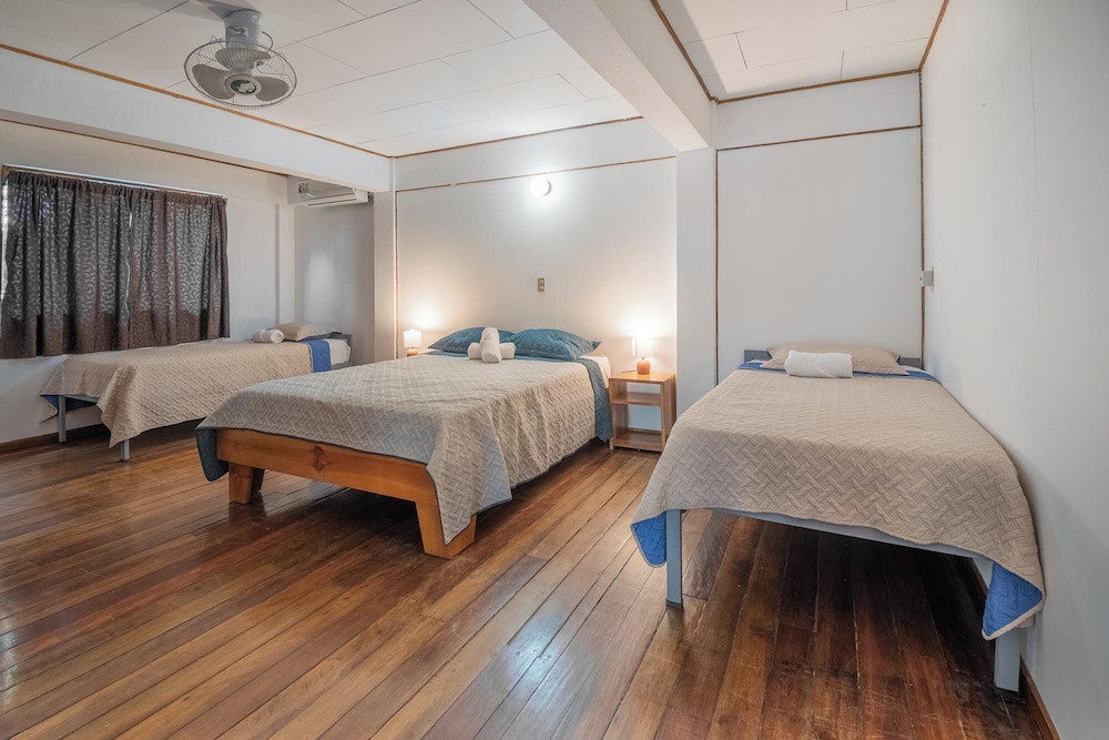 Superior Room, Park View