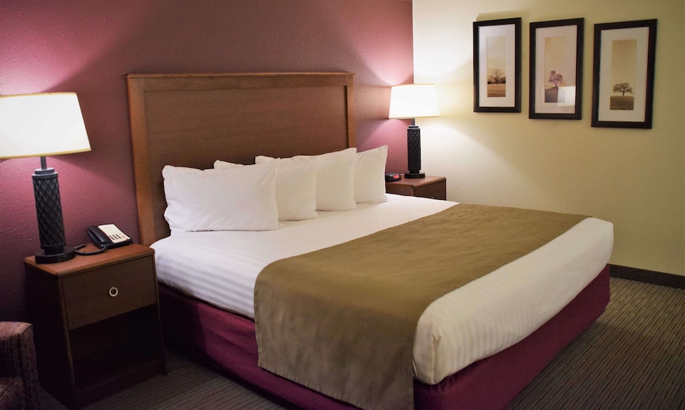 Suite, 1 King Bed, Accessible, Non Smoking (Efficiency)