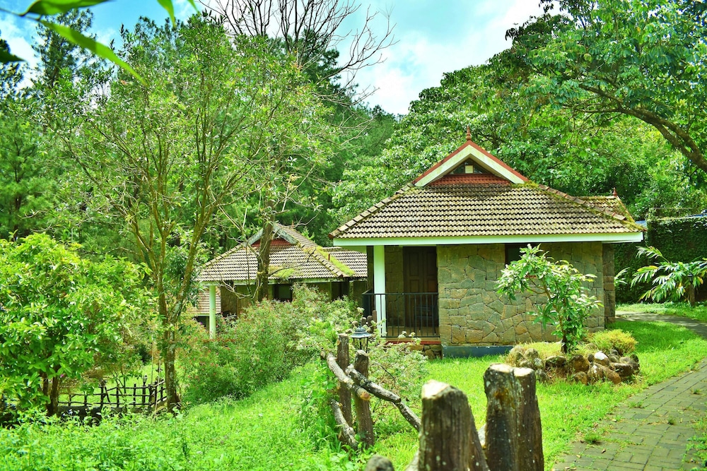 Deluxe Cottage photo 2