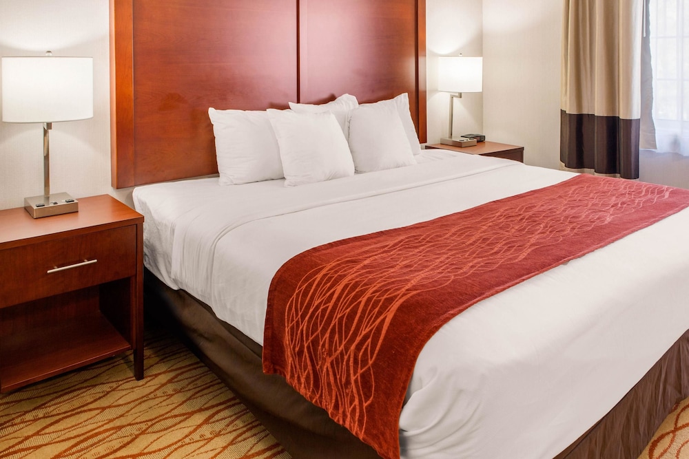 Suite, 1 King Bed, Non Smoking (Wet Bar) - Photo 5