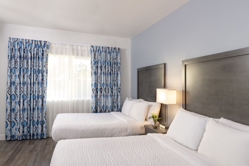 Suite, Ocean View