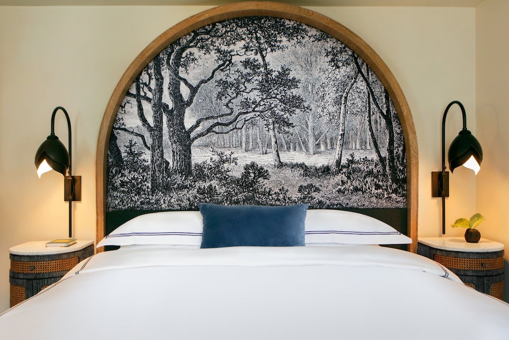 Studio Suite, 1 King Bed, Mobility Accessible (Communications, Mobility, Roll Shwr) - Photo 2